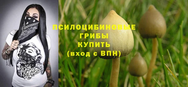 бошки Белоозёрский