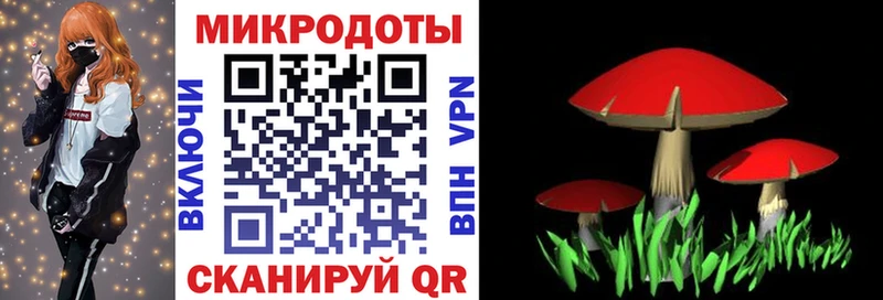 Галлюциногенные грибы GOLDEN TEACHER  где продают   Будённовск 